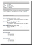 professional cv template