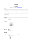 cv template 3